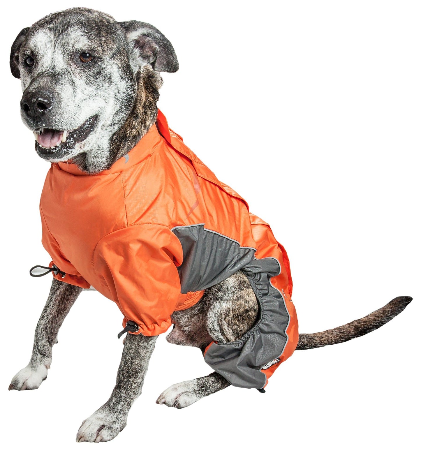 Helios Blizzard Full-Bodied Adjustable and 3M Reflective Dog Jacket