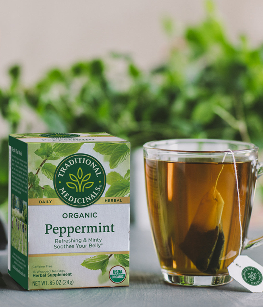 Traditional Medicinals Peppermint Tea (6x16 Bag)