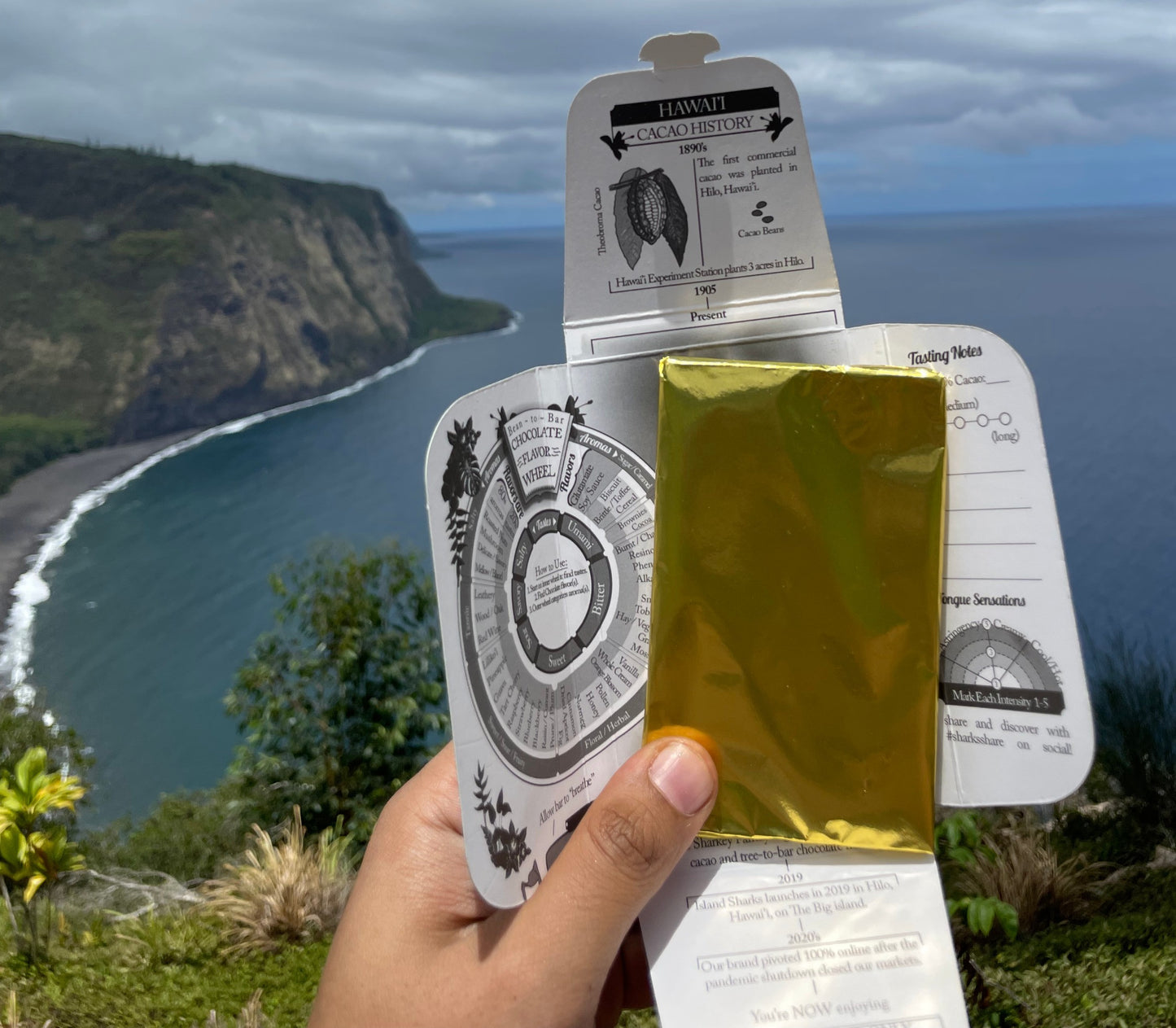 Wholesale Hawaii Pumpkin Spice Oatmilk Latte Bar