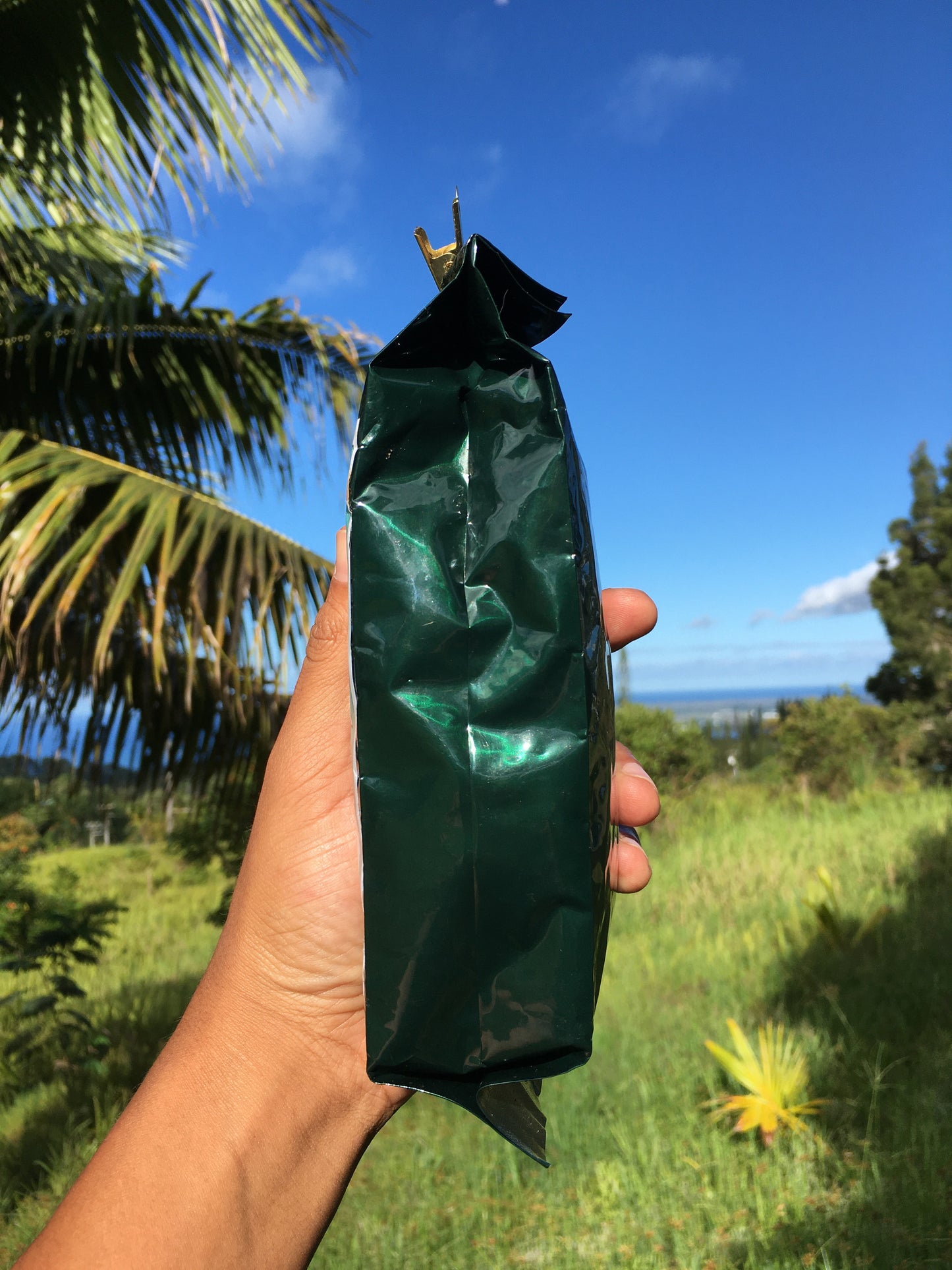 100% Ka'u Coffee