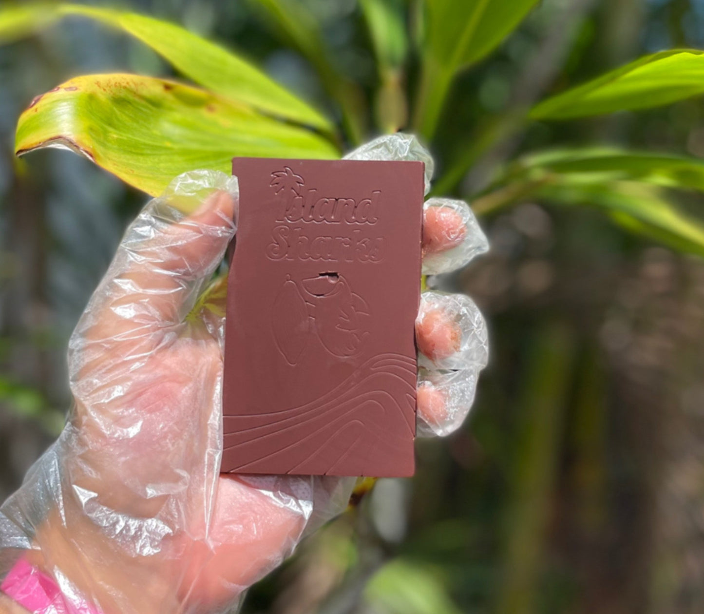 Wholesale Hawaii Pumpkin Spice Oatmilk Latte Bar