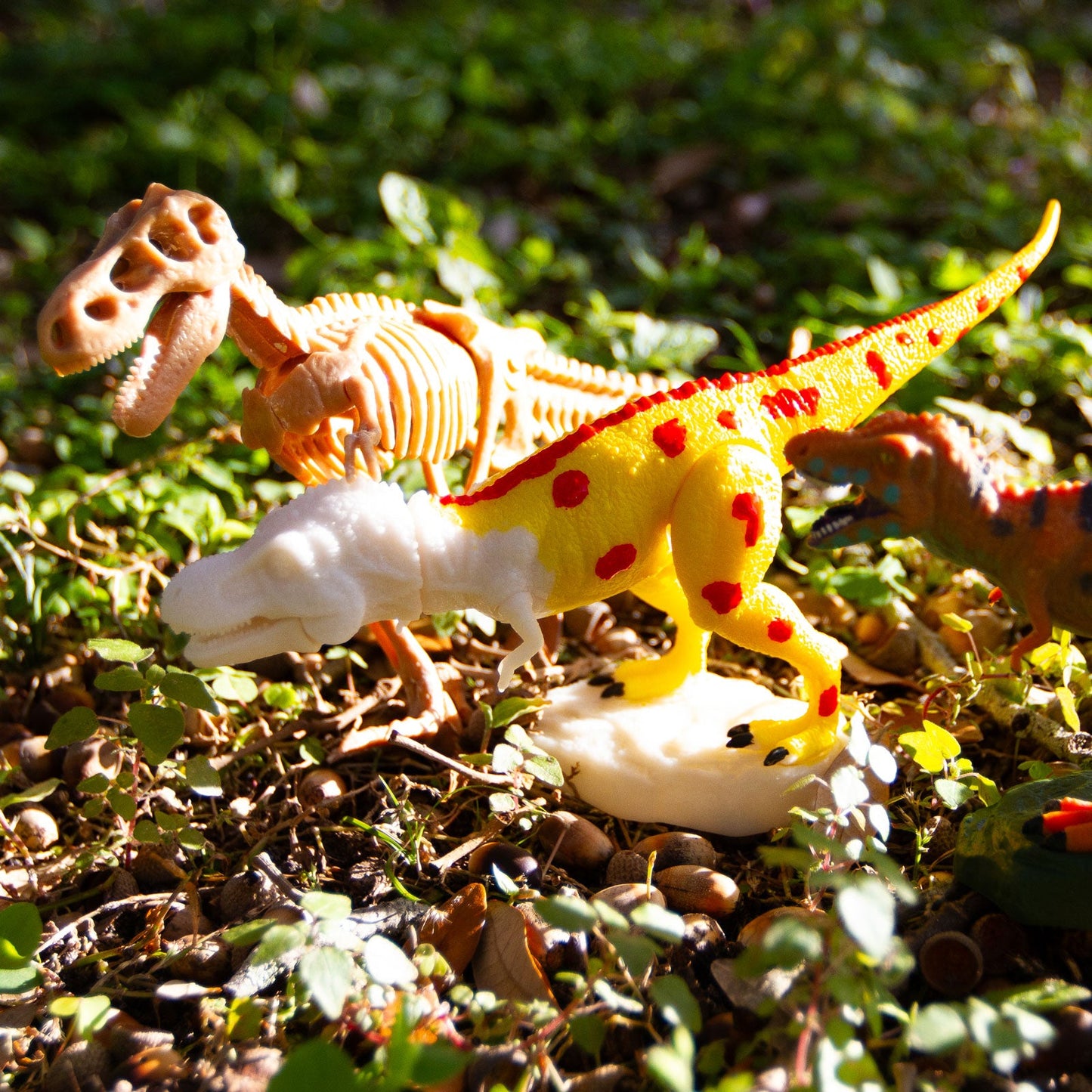 Dr. Steve Hunters GEOWorld T-Rex Multi-activity Kit