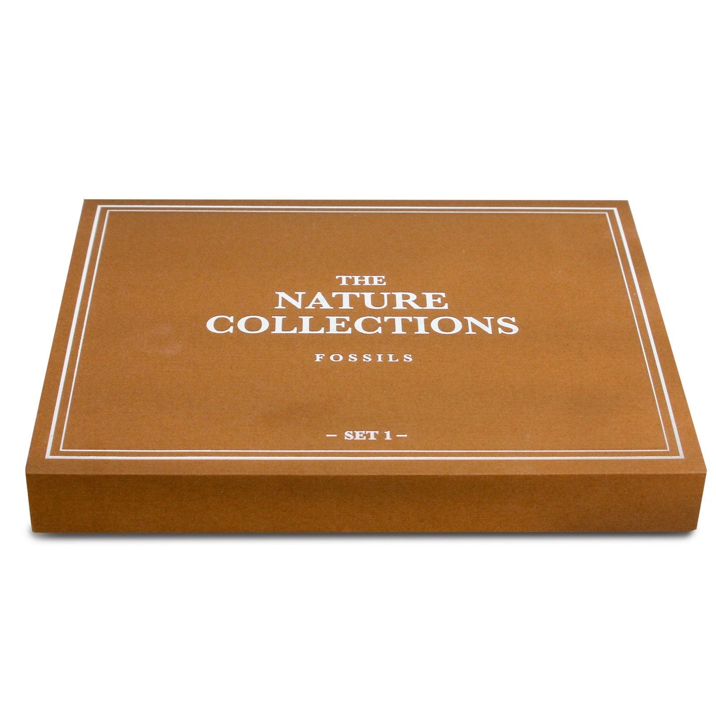 The Nature Collection - Fossils Set 1