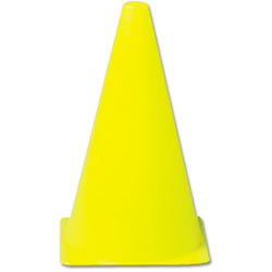 Economy Cone - 9 in.