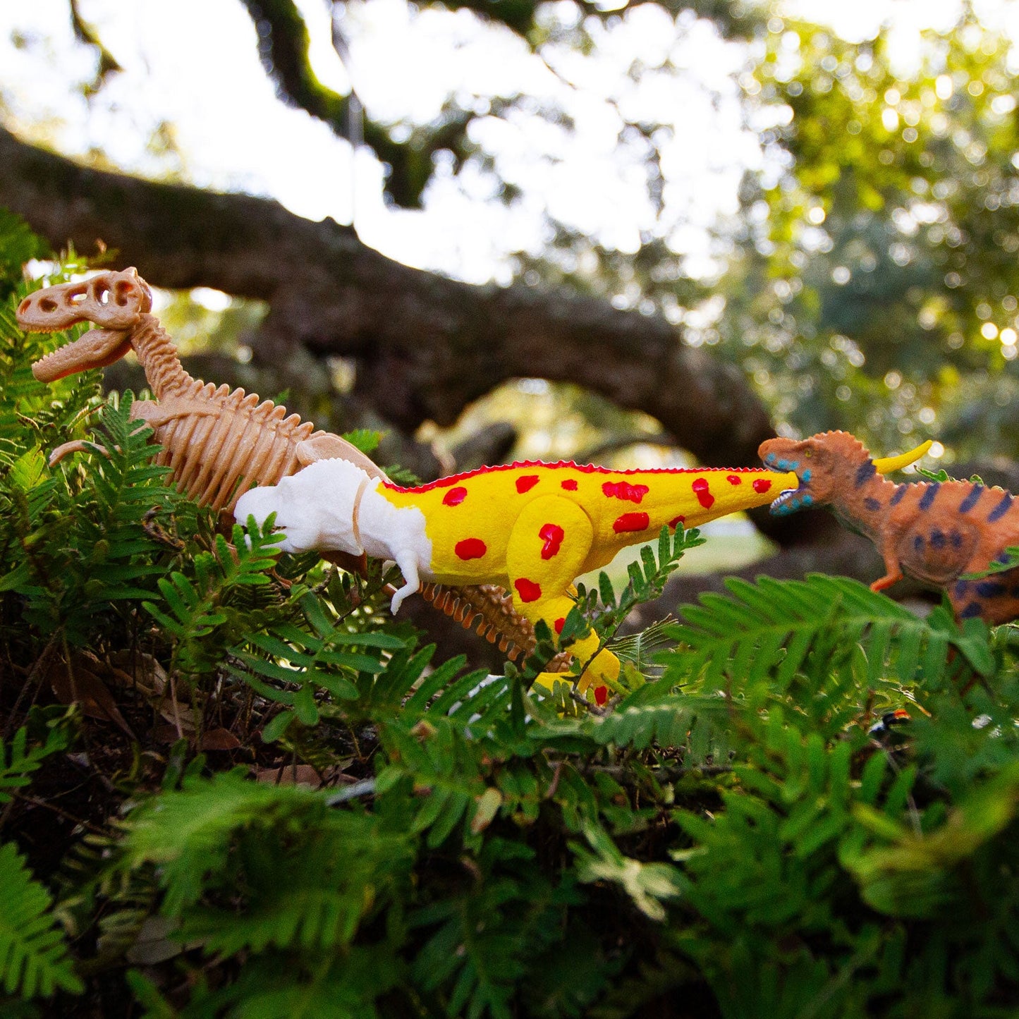 Dr. Steve Hunters GEOWorld T-Rex Multi-activity Kit